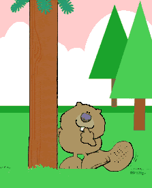 Gif castor